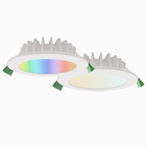 Smart Downlight