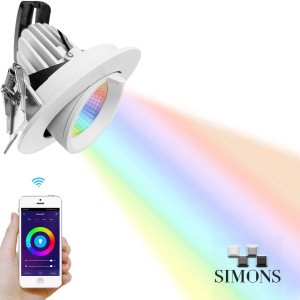 Smart Downlight